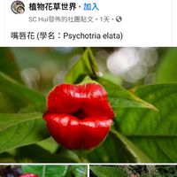 療天士