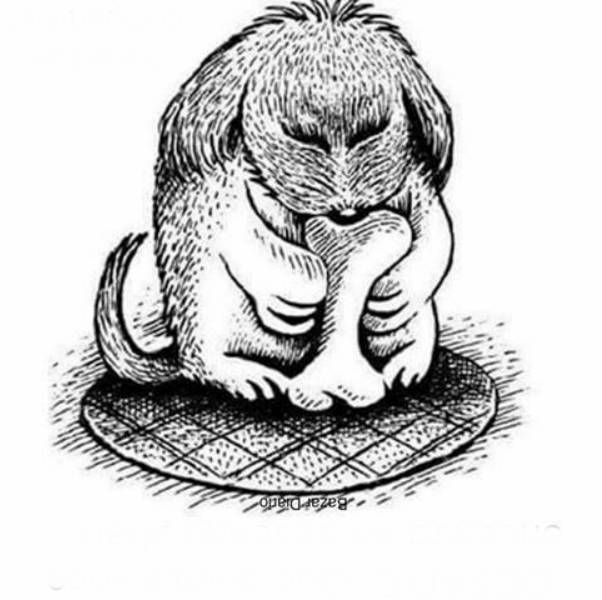 Ada Hewan Di Sketsa Wajah Orang Tua Ini Tebak Di Mana