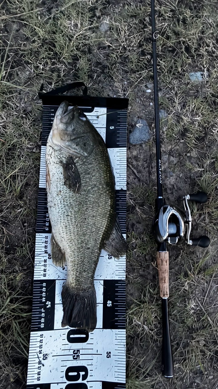 バス釣り雑談、釣果報告グループ