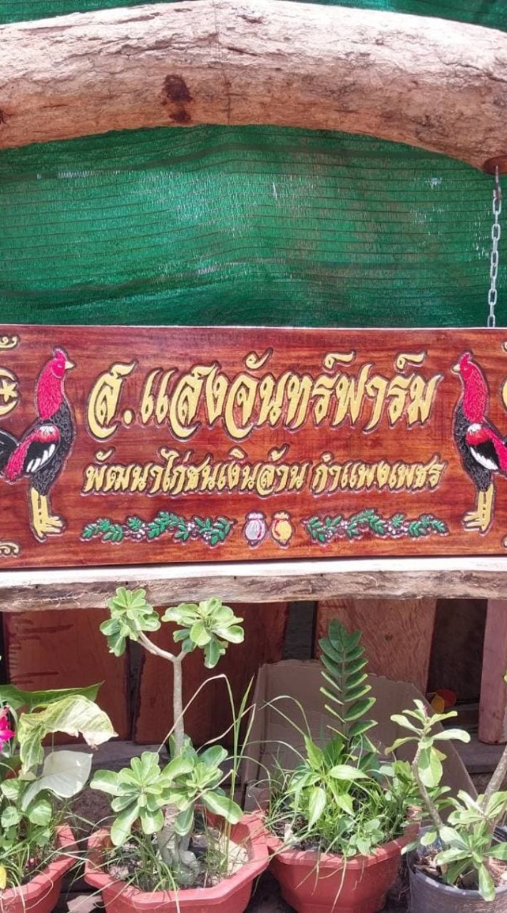 ส.แสงจันทร์ฟาร์ม