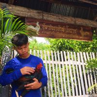 🐓ปอราชันย์ ฟาร์ม🐓