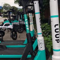 LUUPユーザー限定！