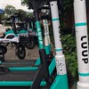 LUUPユーザー限定！