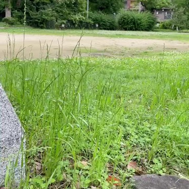日之出公園のundefinedに実際訪問訪問したユーザーunknownさんが新しく投稿した新着口コミの写真