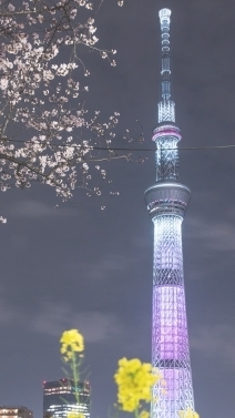漫步日本旅遊趣
