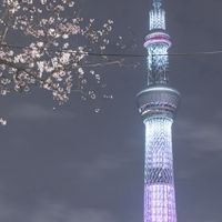 漫步日本旅遊趣