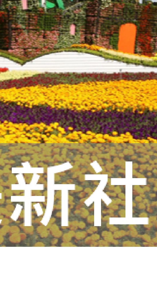 我是新社人