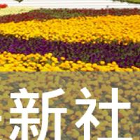 我是新社人