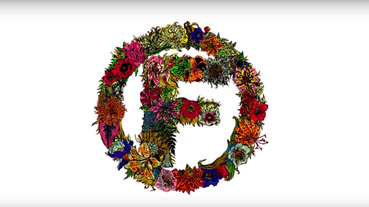 Foundation 難得一見的花草：Cole Wilson 的選手板