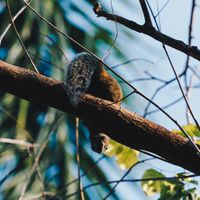 《影像說書人》