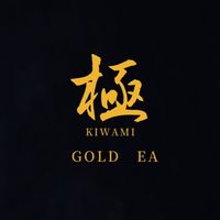 極※放置・爆益系EA 【FX自動売買】