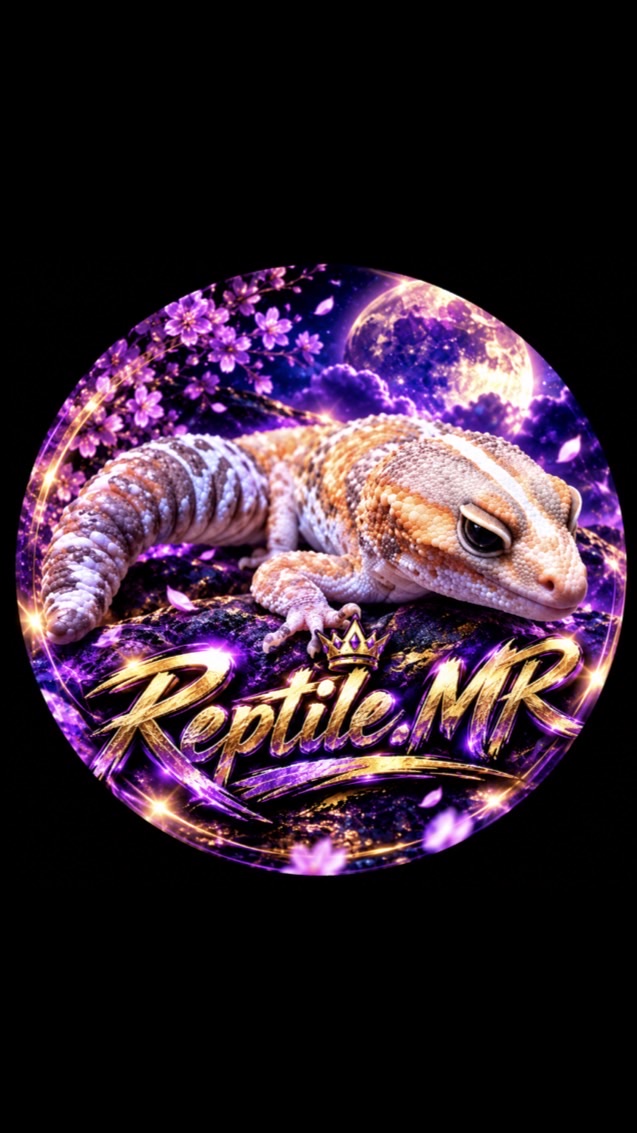 Reptile.MR