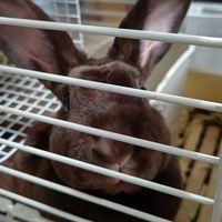 🐰熊本シングル組40代〜本館