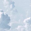 中国地方の地雷量産サブカルの小学~中一まで集まれ〜！！