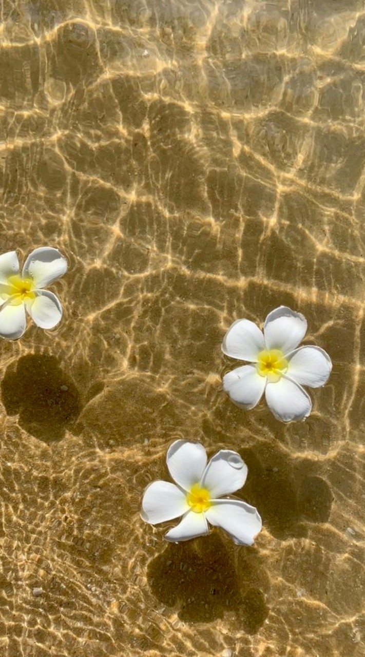 ก ลุ่ม ข อ ง แอ ด มิ นน