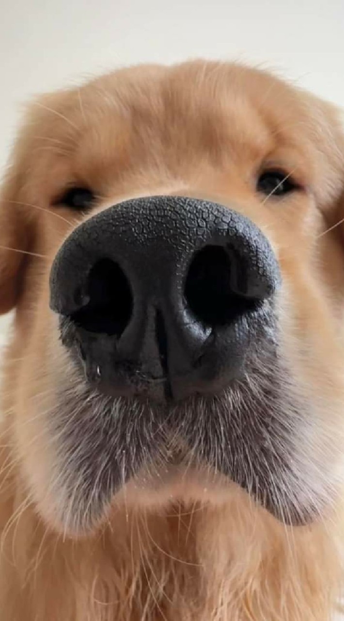 FCจุ๊มเหม่ง