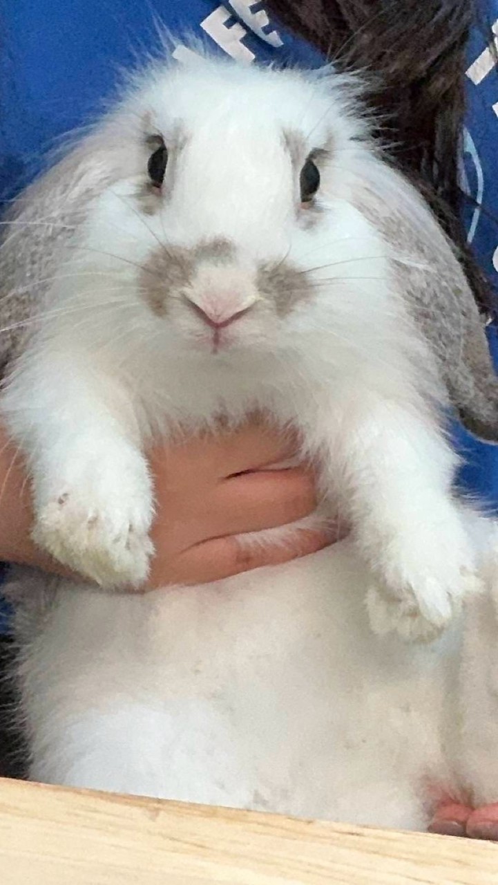 國小群