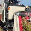 水稲Lab 🌾｜現場課題を技術でハックする共創コミュニティ