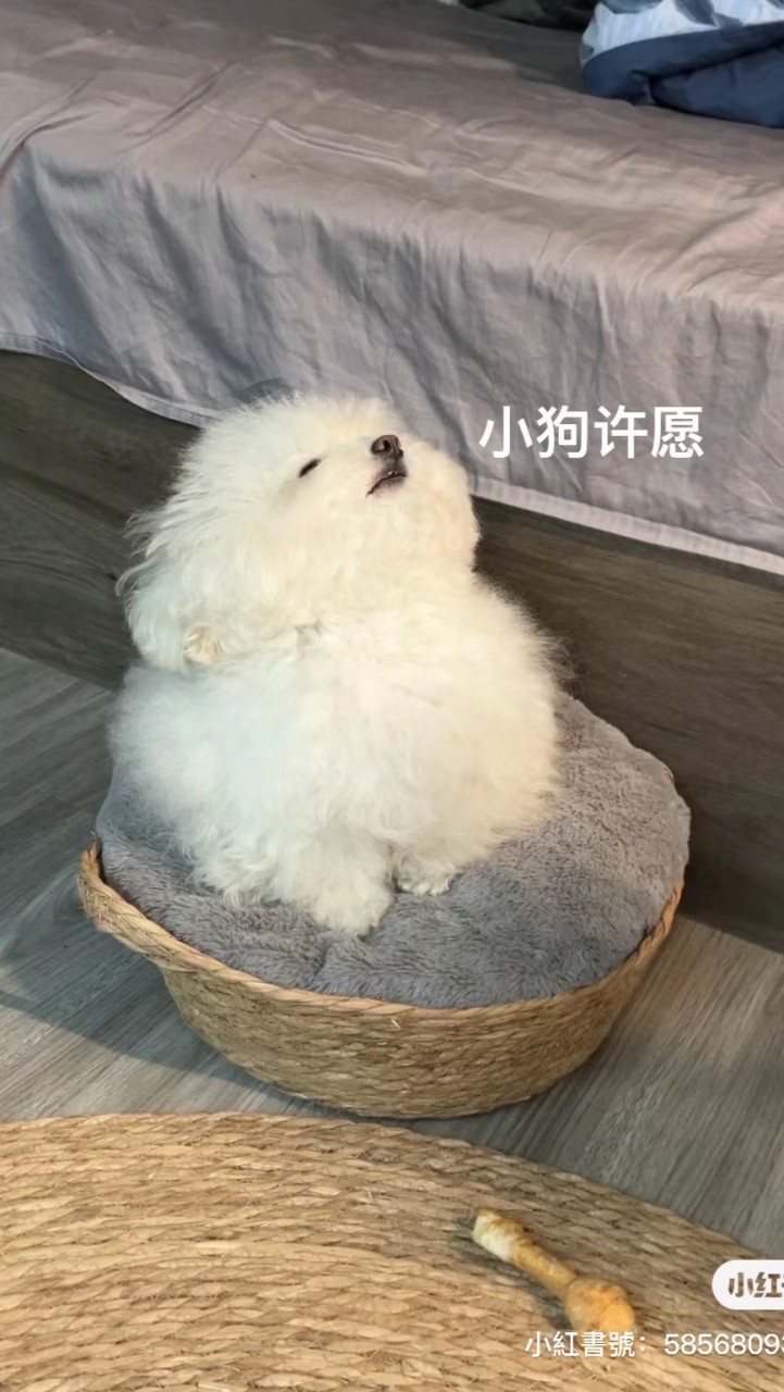 減肥囉各位！