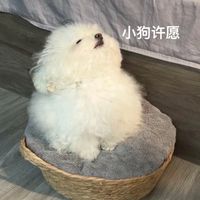 減肥囉各位！
