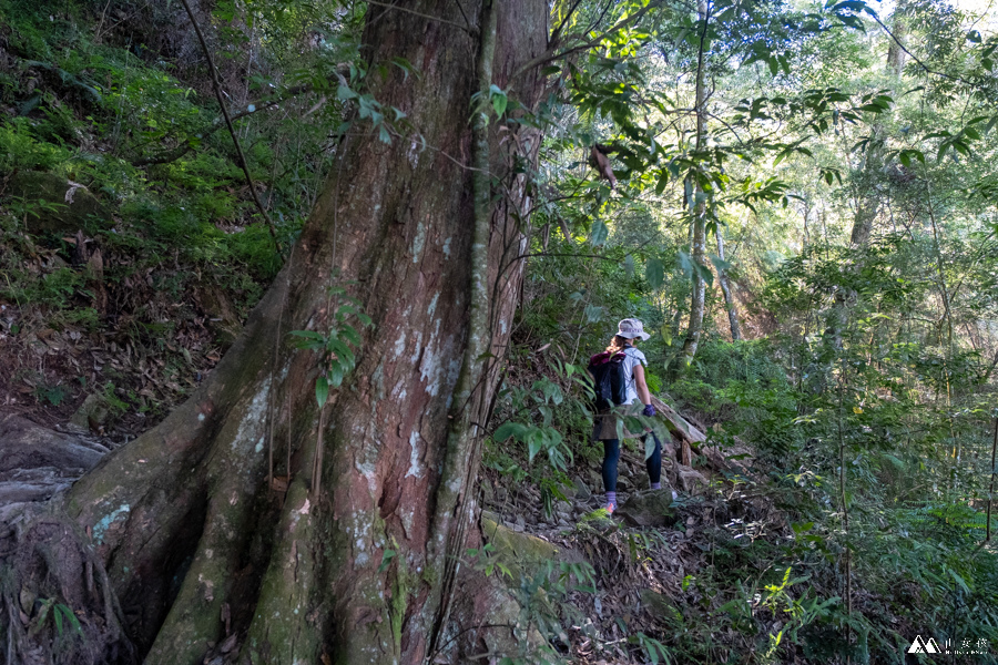 山女孩MelissaxMao冒險生活_水社大山_日月潭登山_路線分享-32.JPG