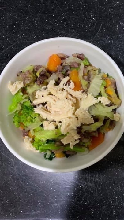 汪星人手做零食鮮食交流區