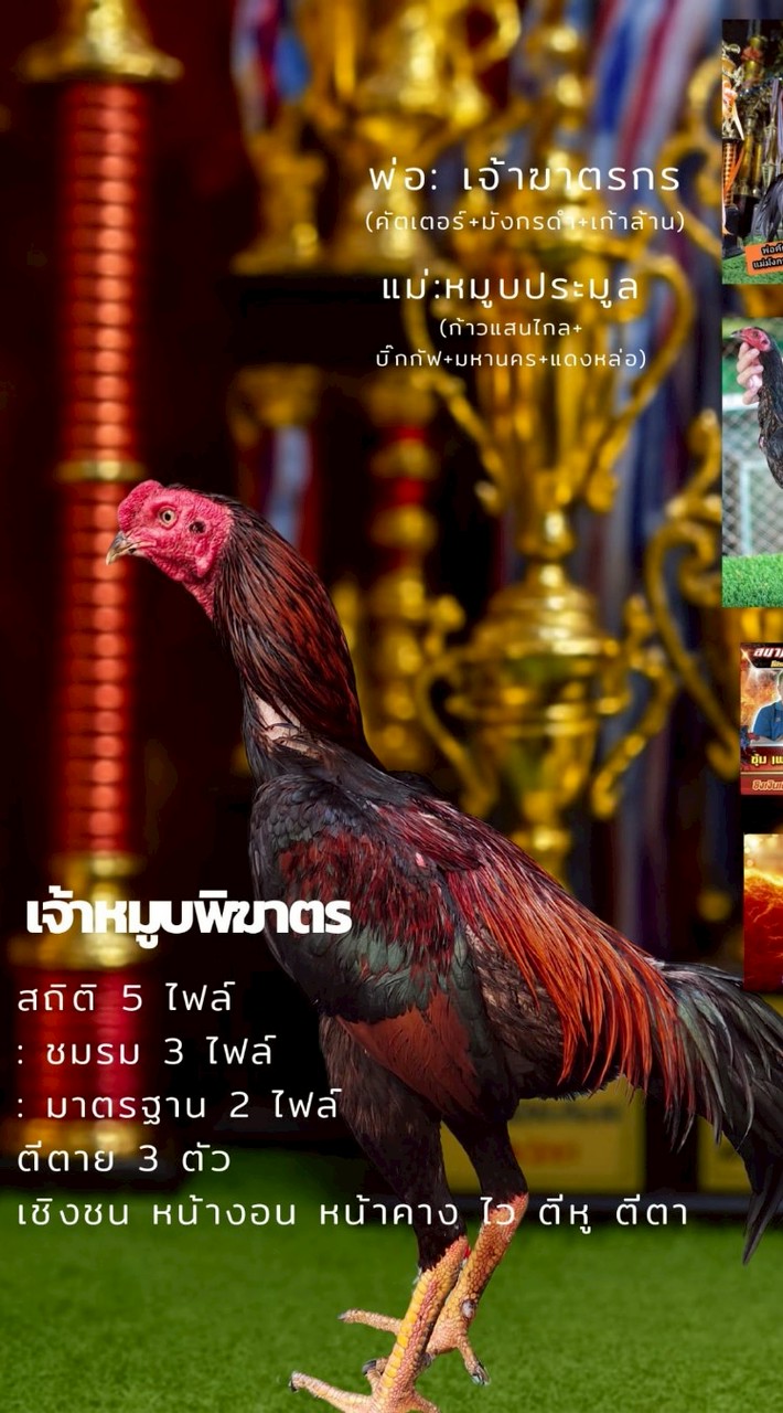 เอกชัย  บ้านไก่ชน ส.อาวุธ ฟาร์ม