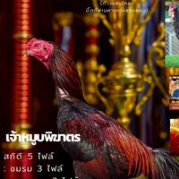 เอกชัย  บ้านไก่ชน ส.อาวุธ ฟาร์ม