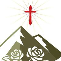 磐石花珊花藝工坊-小秘書珊珊