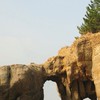 本山地区を愛する会