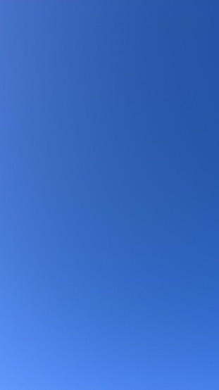 デルタ、krnlのスプリクトだしてくれー！