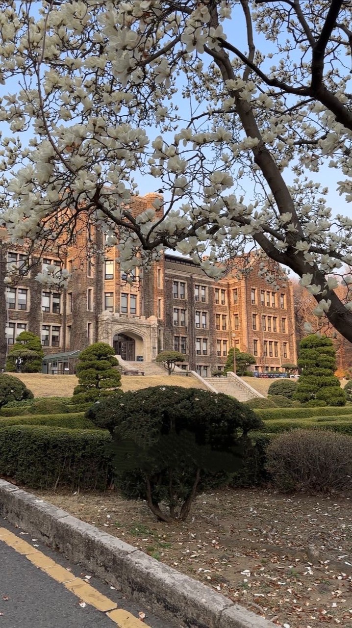 📖ViNcEnT DaMiAn BoT InTeRnAtIoNaT ScHoOl 📚