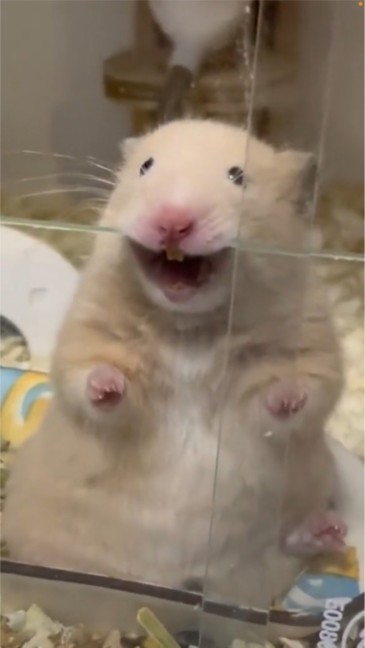 ゆらの居場所のオープンチャット