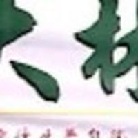 大林傳統整復