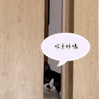 553熟客熟到爛掉