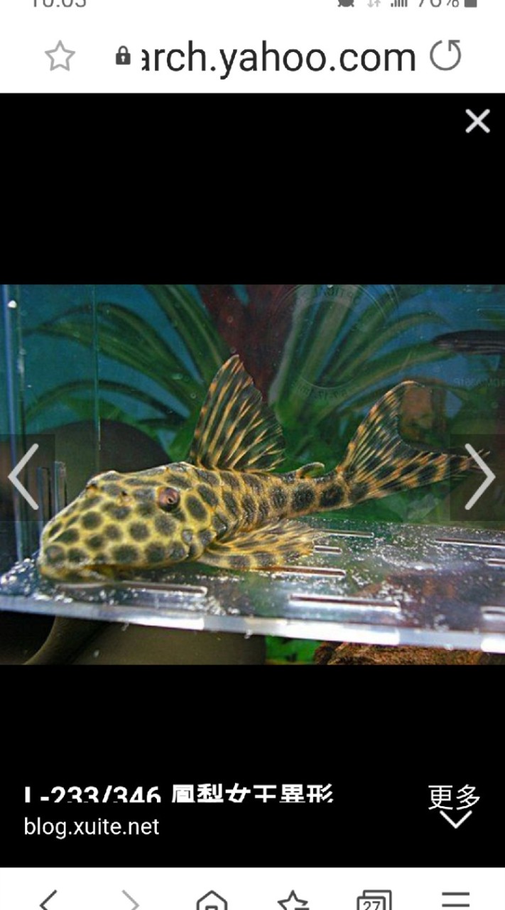 笑談魚經