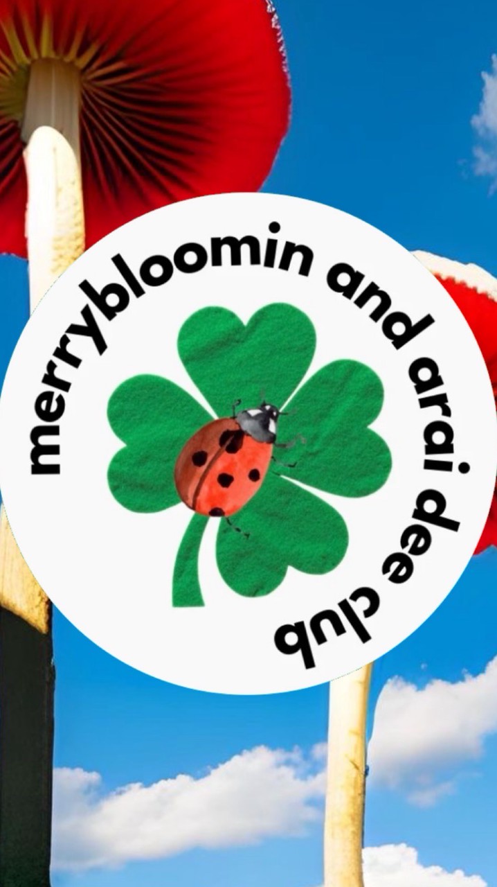 mrybloom araidee club