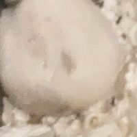 むほうちたい