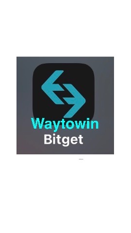 Waytowin 投資群