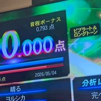 ガチ勢向け精密採点オプ‼️
