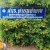 ศกร.ตำบลท่ายาง(ชุมพร)