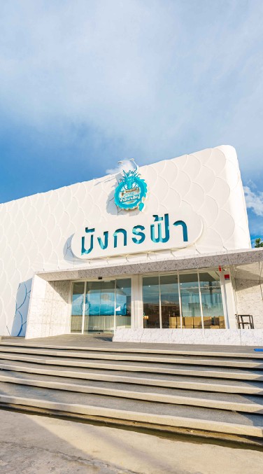 กลุ่มซื้อขายโควต้ามังกรฟ้า