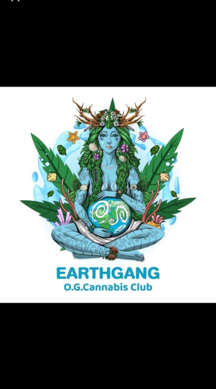 Landrace seeds - TH