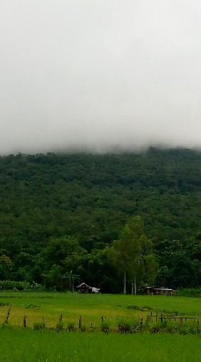 แหล่งท่องเที่ยวโฮมสเตย์ชุมชนบ้านภู