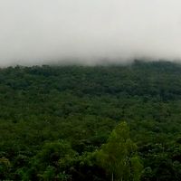 แหล่งท่องเที่ยวโฮมสเตย์ชุมชนบ้านภู