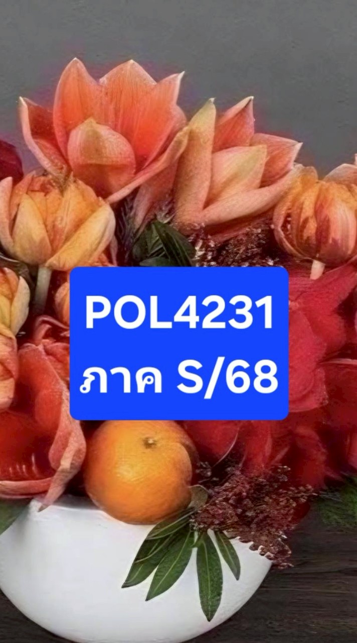 POL4231 ภาค S/68