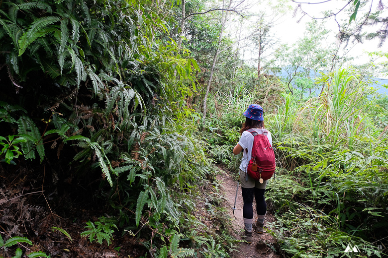 山女孩Melissa_苗栗南庄_向天湖山_飛機殘骸_三角湖山-6711.jpg