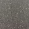 埼玉県担当者　学術集会