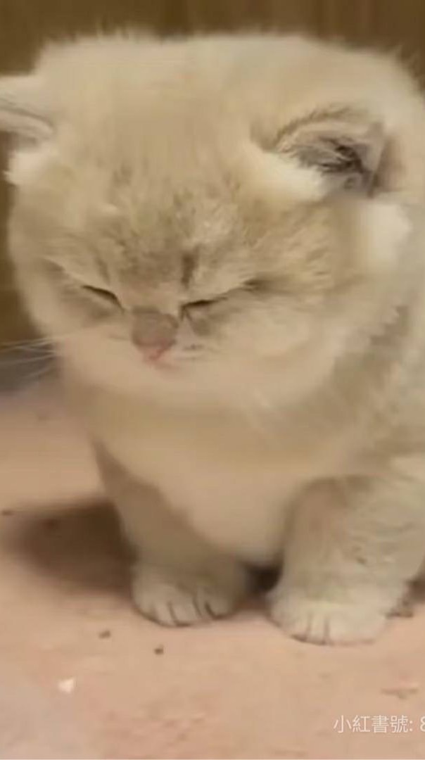 慈～(///▽///)💜的粉絲群