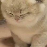慈～👻粉絲群
